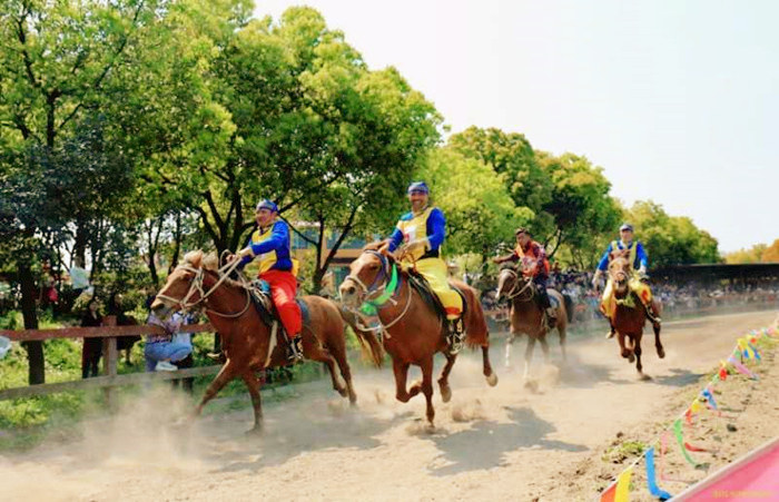 馬術(shù) 牛仔-騎馬-騎馬場