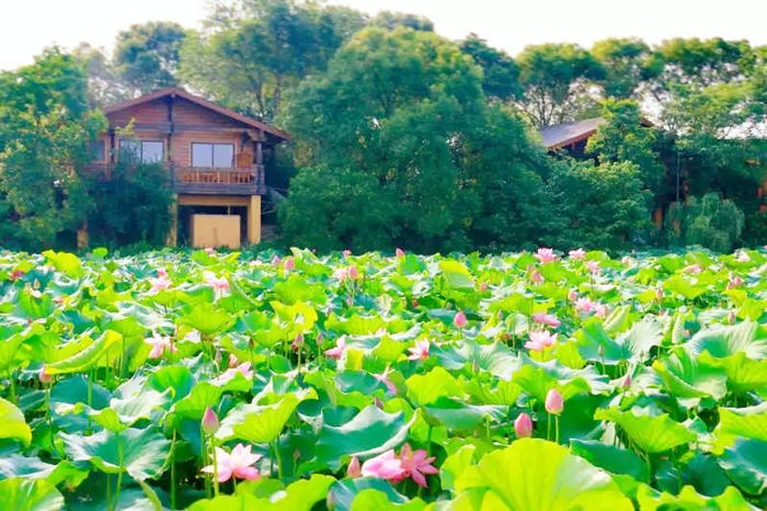 游泳課程 安住-游泳池