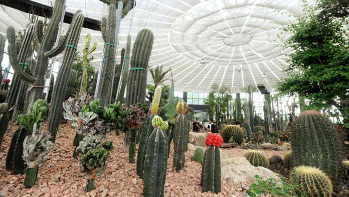 1562319980952895.jpg 蘇州太湖-濕地公園