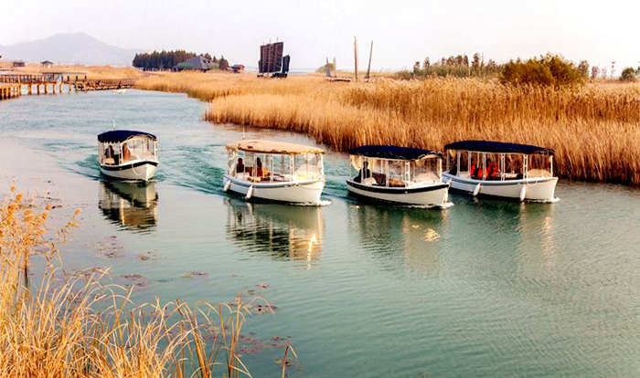 1562320140120682.jpg 濕地公園-親子游玩