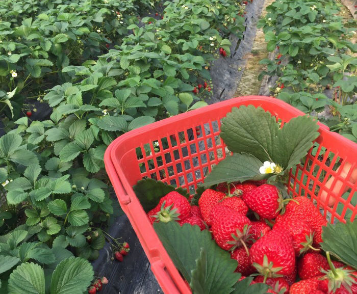 �K��̫����ɽˮ����ժ