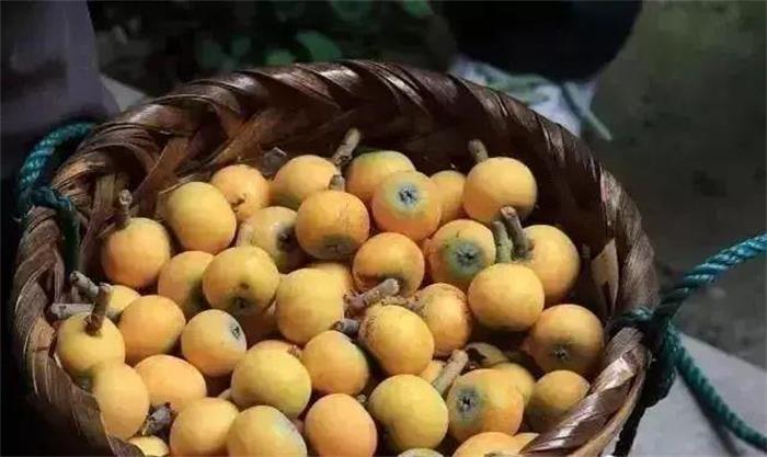 ̫�����˲�ժ