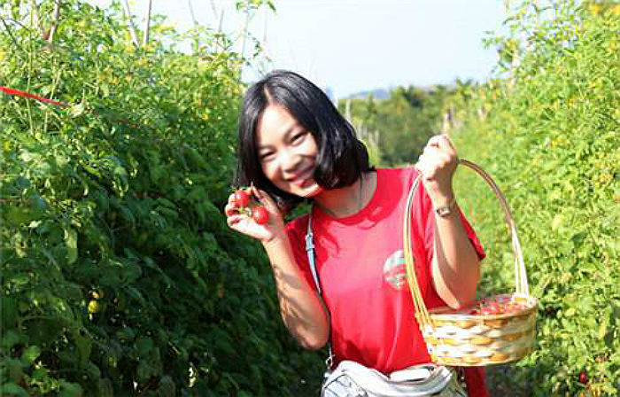 ̫����ժС����