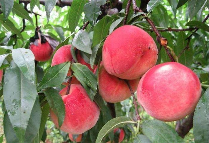 �K��̫����ɽˮ����