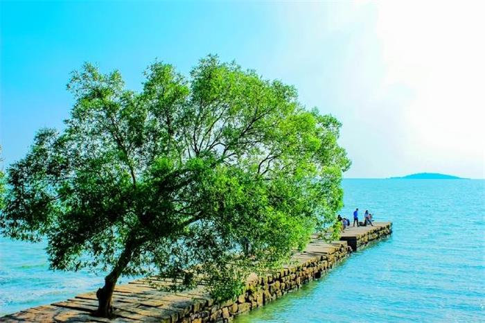 1562892453118698.jpg timg (20).jpg