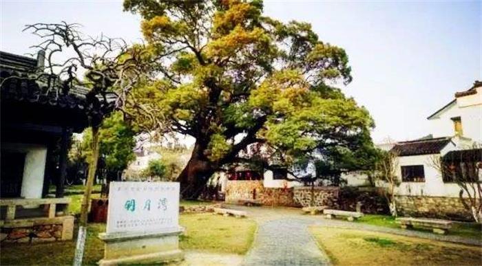 西山明月灣 明月灣團購