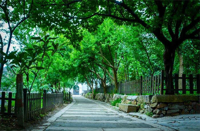 1562914684618581.jpg 12.jpg