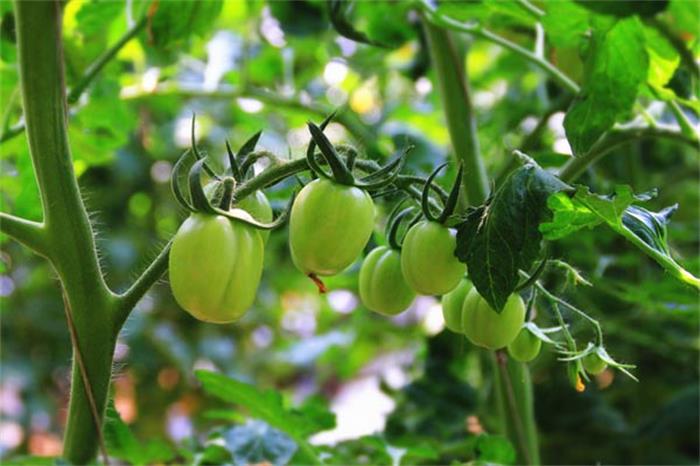 1562980003751162.jpg 2d25205457ad95b5adbf5d2ba3e3628c.jpg