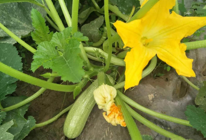 1562980065461171.jpg 75cb3e.jpg