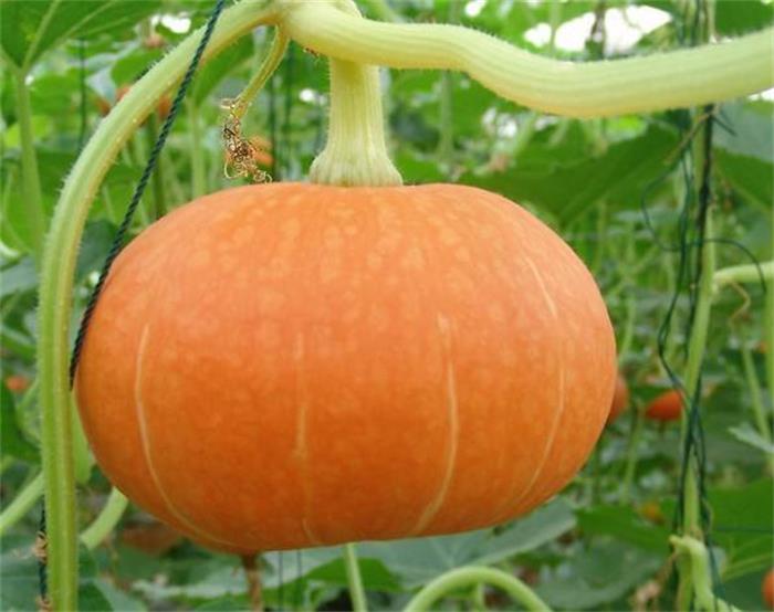 1562980129110604.jpg 太湖團建親子活動