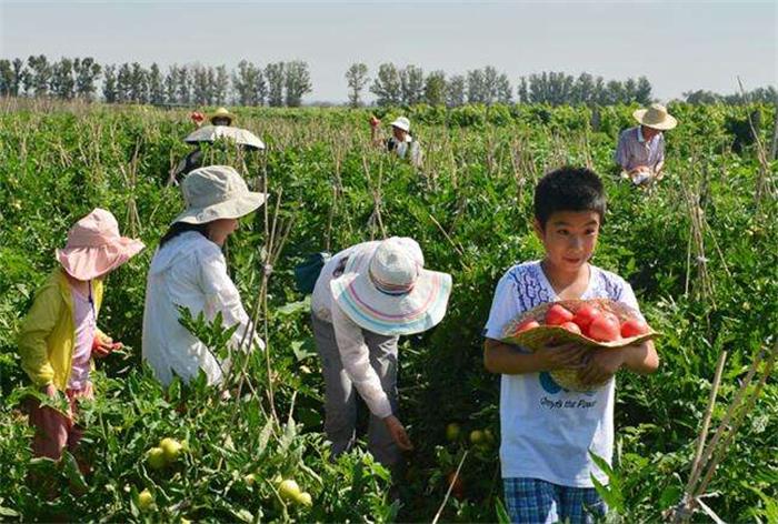 1562980221850006.jpg timg (18).jpg