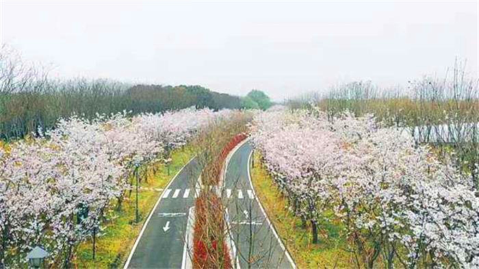 1563612977611696.jpg timg555.jpg