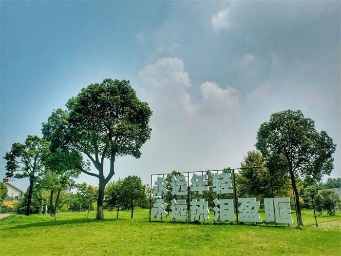 1563851654930519.jpg 100p10000000opmh881B9_meitu_2.jpg