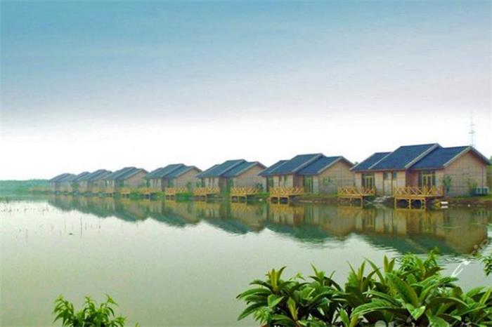 大成農(nóng)莊 大成農(nóng)莊