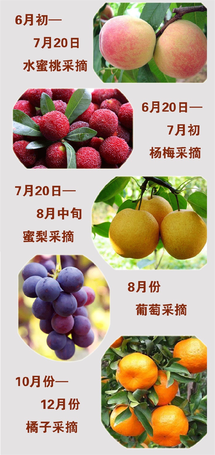 金滿庭農(nóng)莊 金滿庭農(nóng)莊