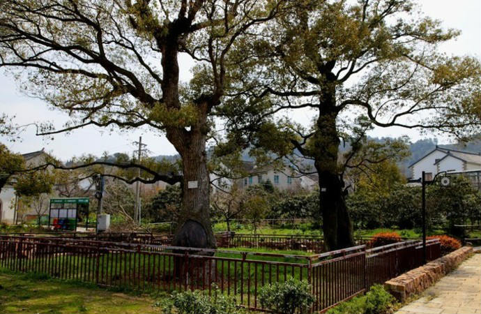 1571392579124719.jpg 12345.jpg