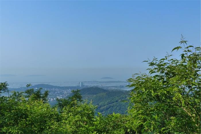 1571392746810890.jpg 16.jpg