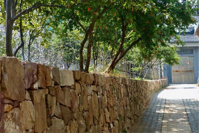 1571392763357508.jpg 32.jpg