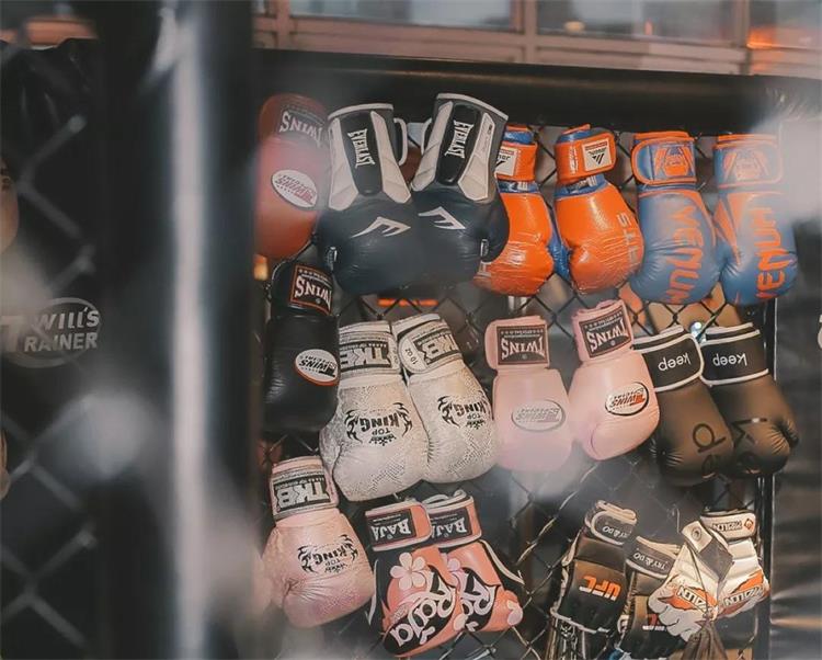 體驗(yàn)式活動(dòng) 團(tuán)建拓展課程