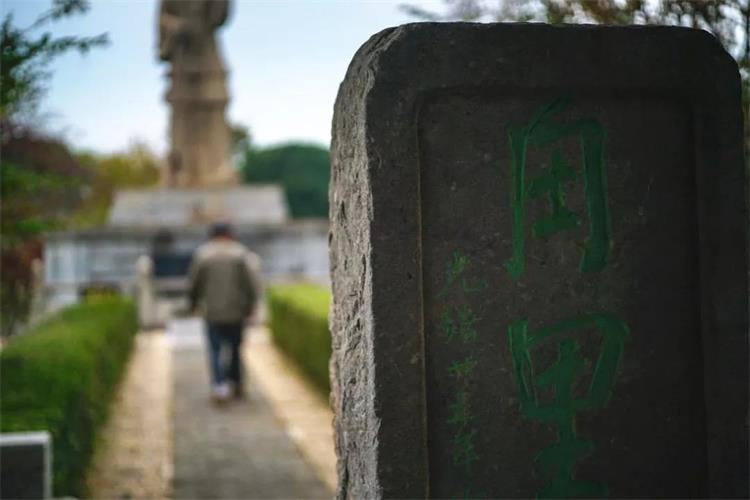 甪里洲 太湖甪里洲