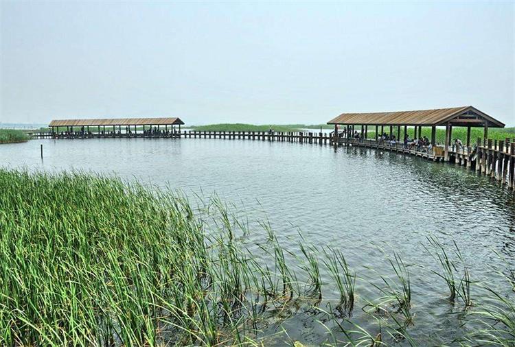 太湖公園 蘇州太湖公園