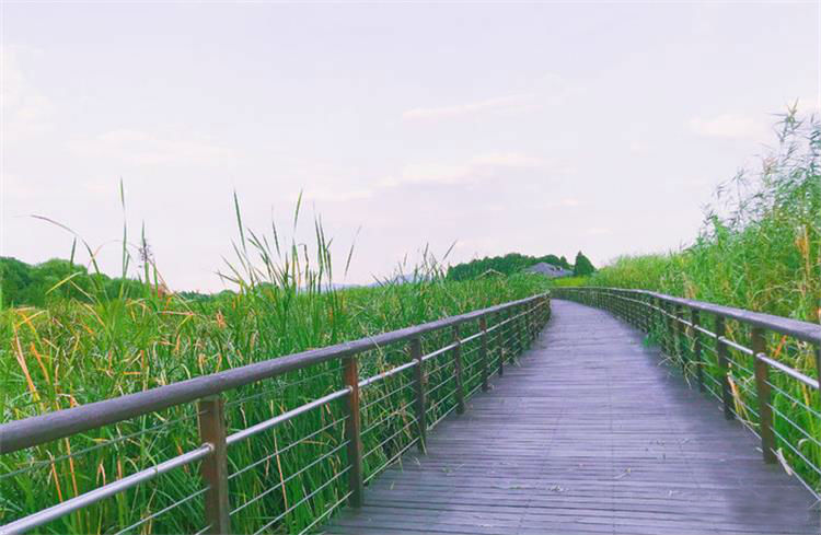 夏季美景 wKgED1uU8D6AVLu3AFFjlQTwvOM42.jpg