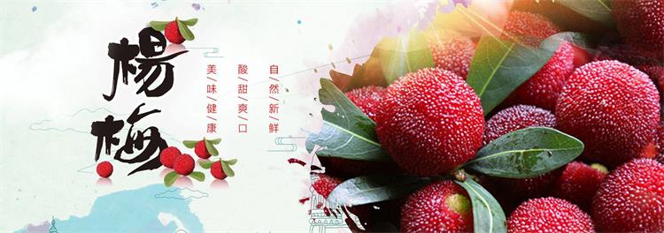 楊梅體驗(yàn) timg (5).jpg