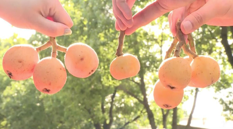 1580886751736273.jpg 2.jpg