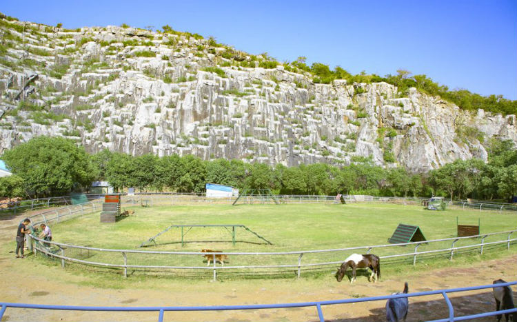 1581045766759597.jpg 5-1Z92412523b23.jpg