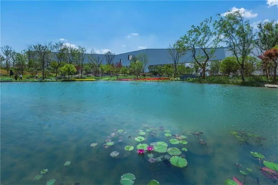 游園賞景 游園賞景