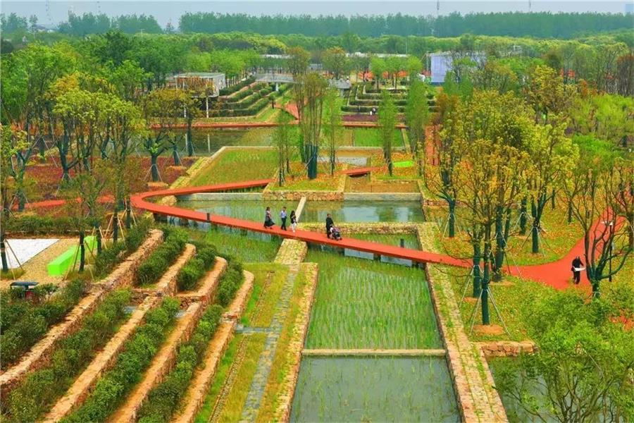 農(nóng)耕文化田 農(nóng)耕文化田