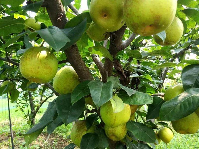 1582199185801811.jpg timg (6).jpg