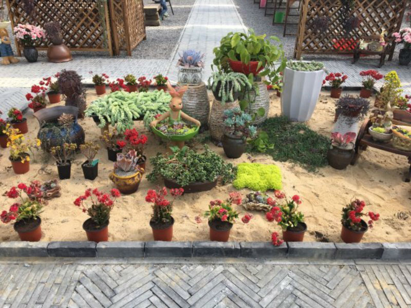 農林大世界 農林大世界