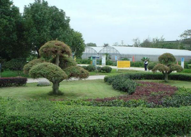 蘇州太湖農林大世界 蘇州太湖農林大世界