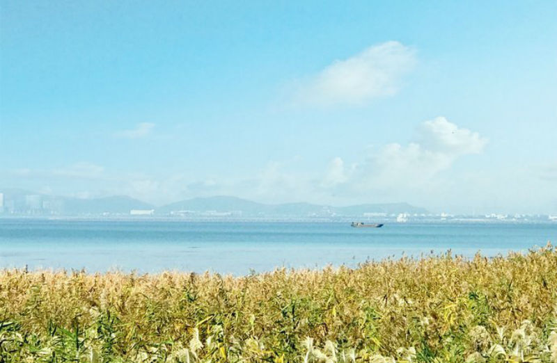 太湖未來農林大世界 太湖未來農林大世界