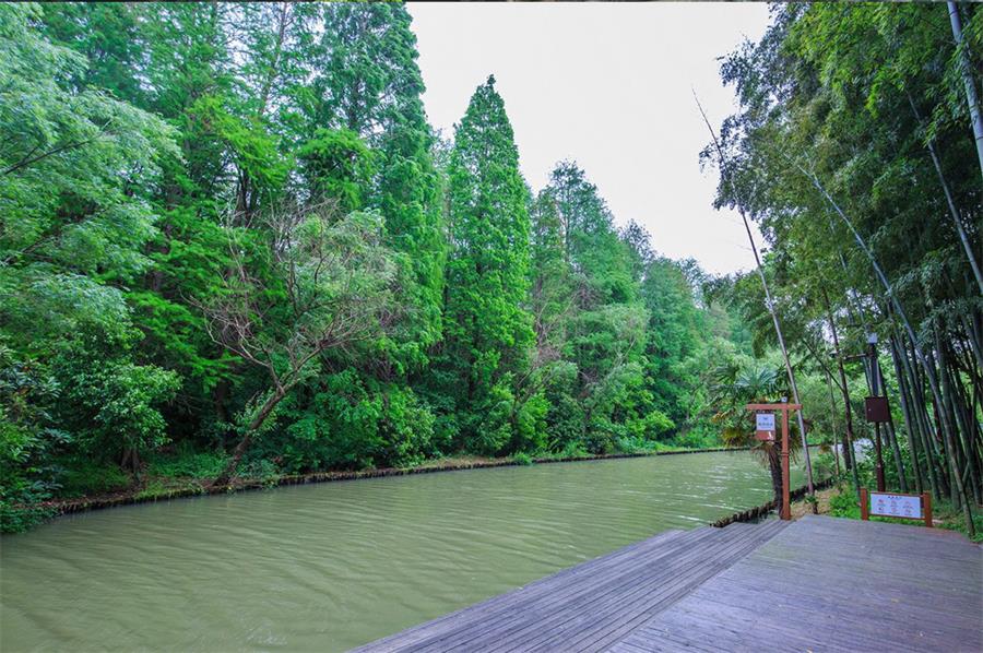 同里國家濕地公園 同里景區(qū)