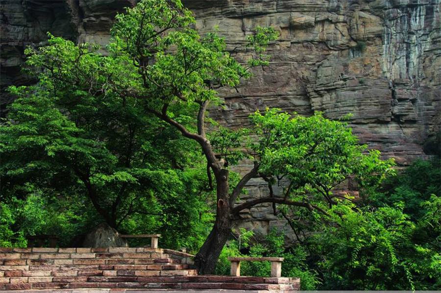 天平山 天平山場地