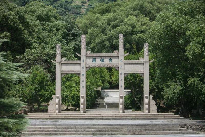 西山古樟園 西山古樟園