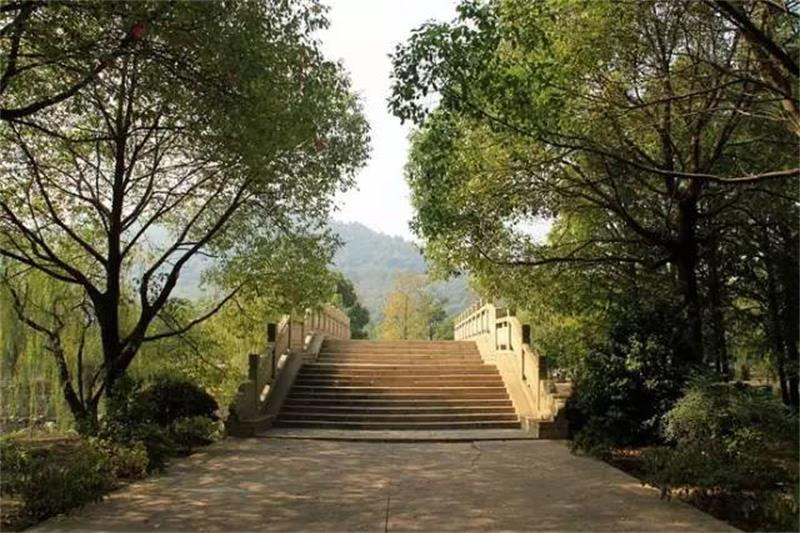 西山古樟園