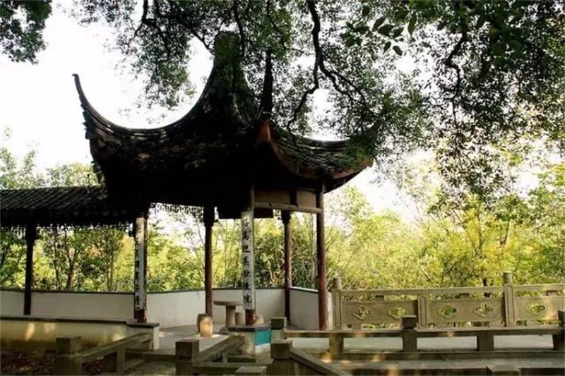 西山古樟園 蘇州西山古樟園