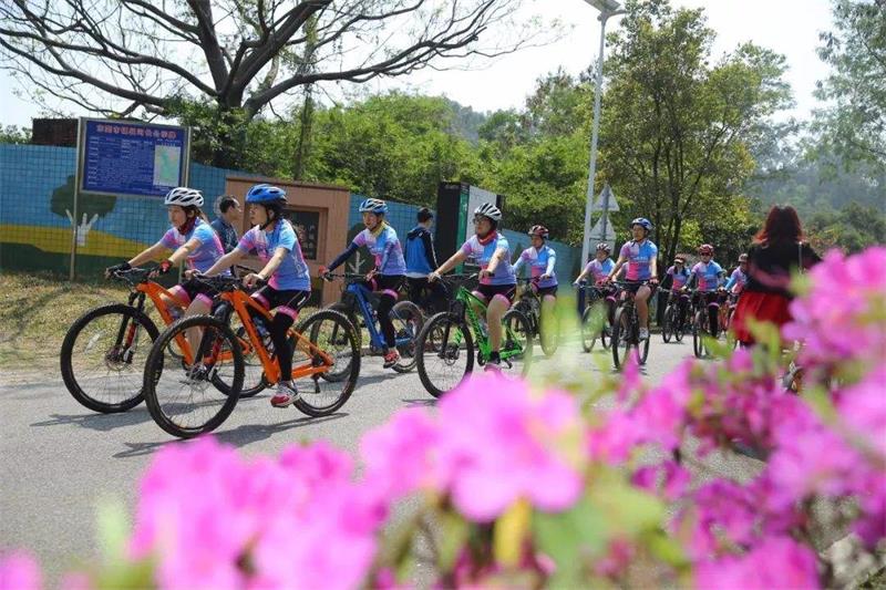 1583029535694231.jpg timg (6).jpg