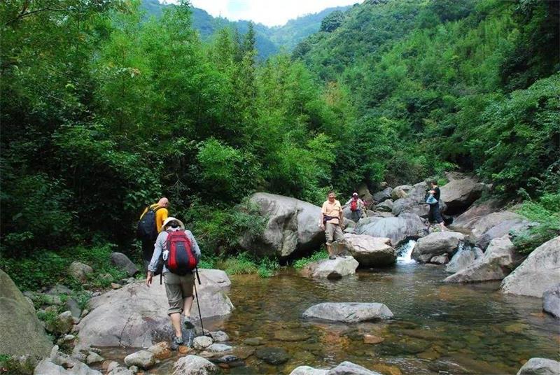 1583029575103061.jpg timg (2).jpg