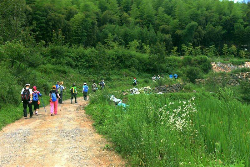 1583029594113203.jpg timg (1).jpg