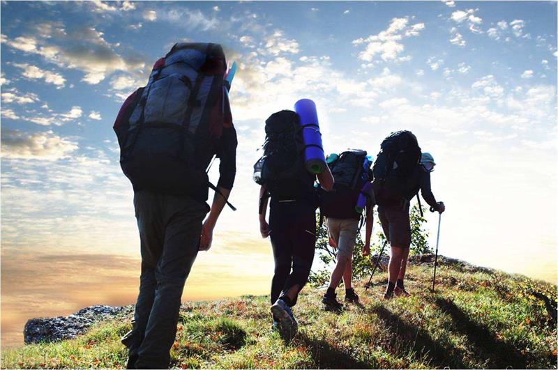 1583029666594268.jpg timg (5).jpg