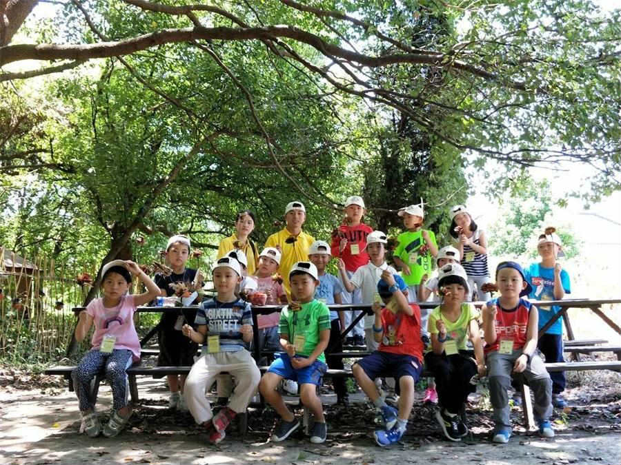 太湖夏令營(yíng) 夏令營(yíng)攻略