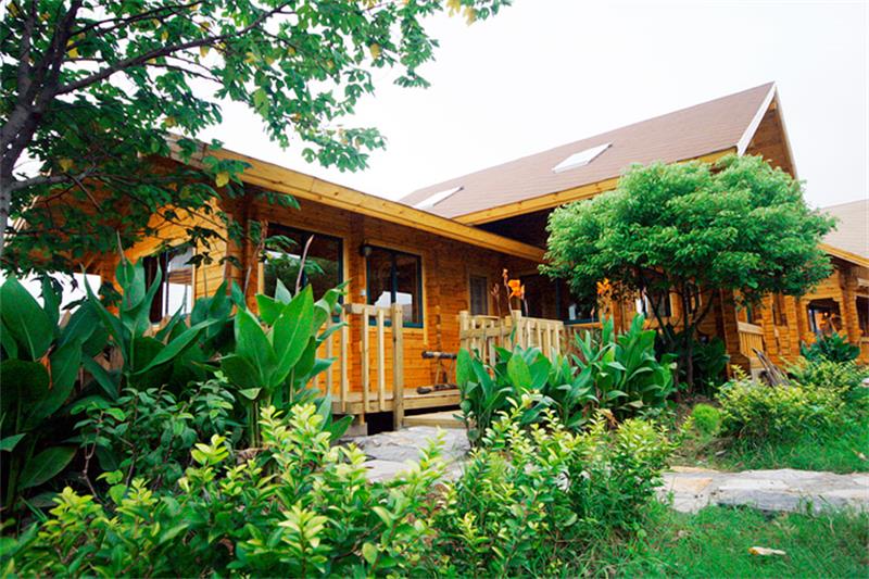 2̖(h��o)ľ�݄e��