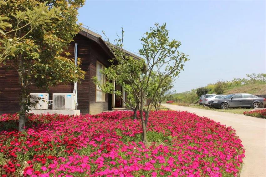 大成農(nóng)莊 大成現(xiàn)代農(nóng)業(yè)園