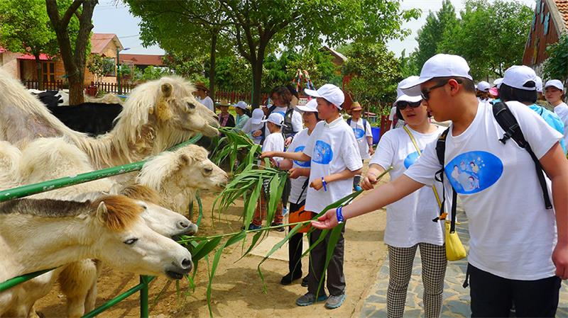 牛仔動物園 動物