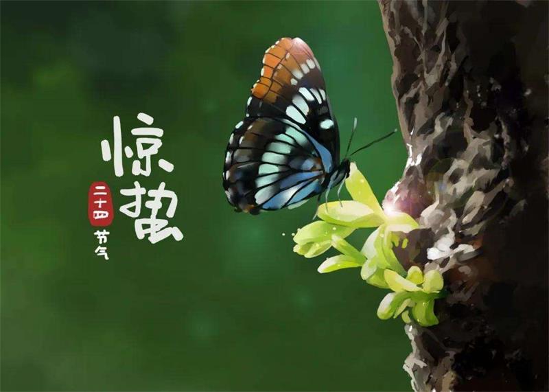 驚蟄節(jié)氣 驚蟄