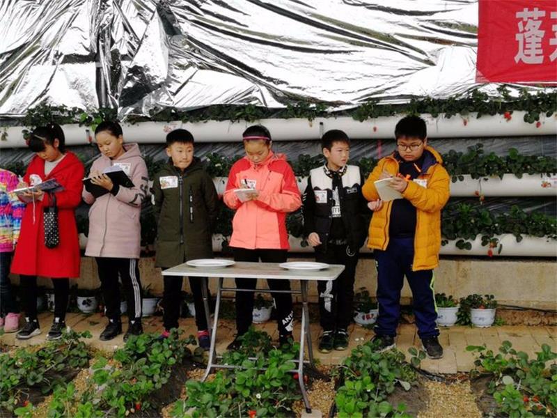 研學(xué)活動(dòng) 研學(xué)團(tuán)建